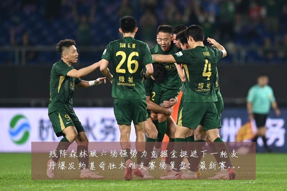 残阵森林狼六场强势力克掘金挺进下一轮麦丹爆发约基奇独木难支赛场复盘:最新赛事动态与深度分析